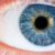 Darwin, the eye and AI