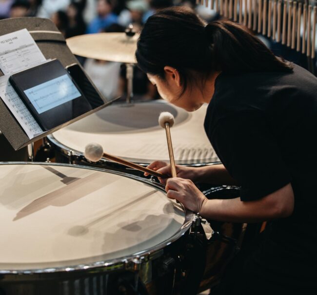 The timpani
