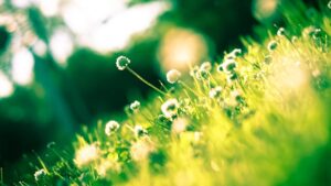 How spring works