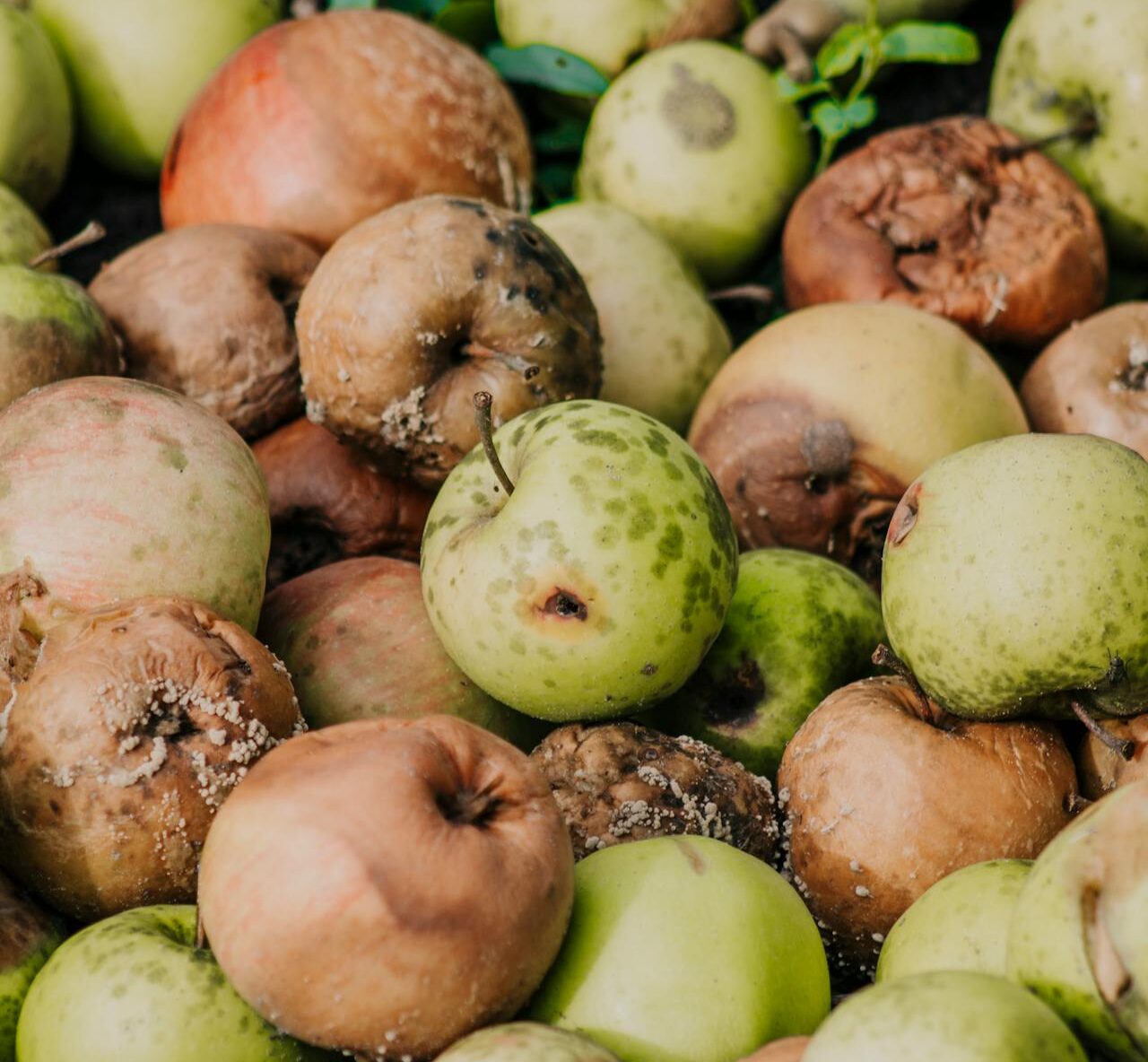 the rot of the UN and UK's Labour party